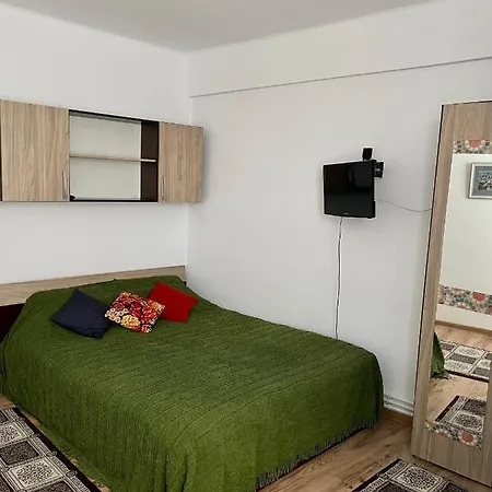 Apartment Walking Distance To Center *